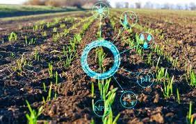 Agriculture Empowerment Assistant AI