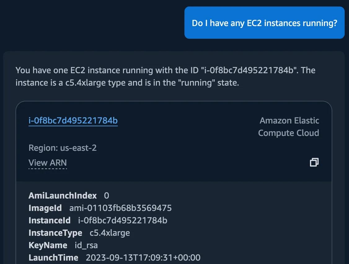 Query AWS resources using Amazon Q Developer, interact with them on the CLI