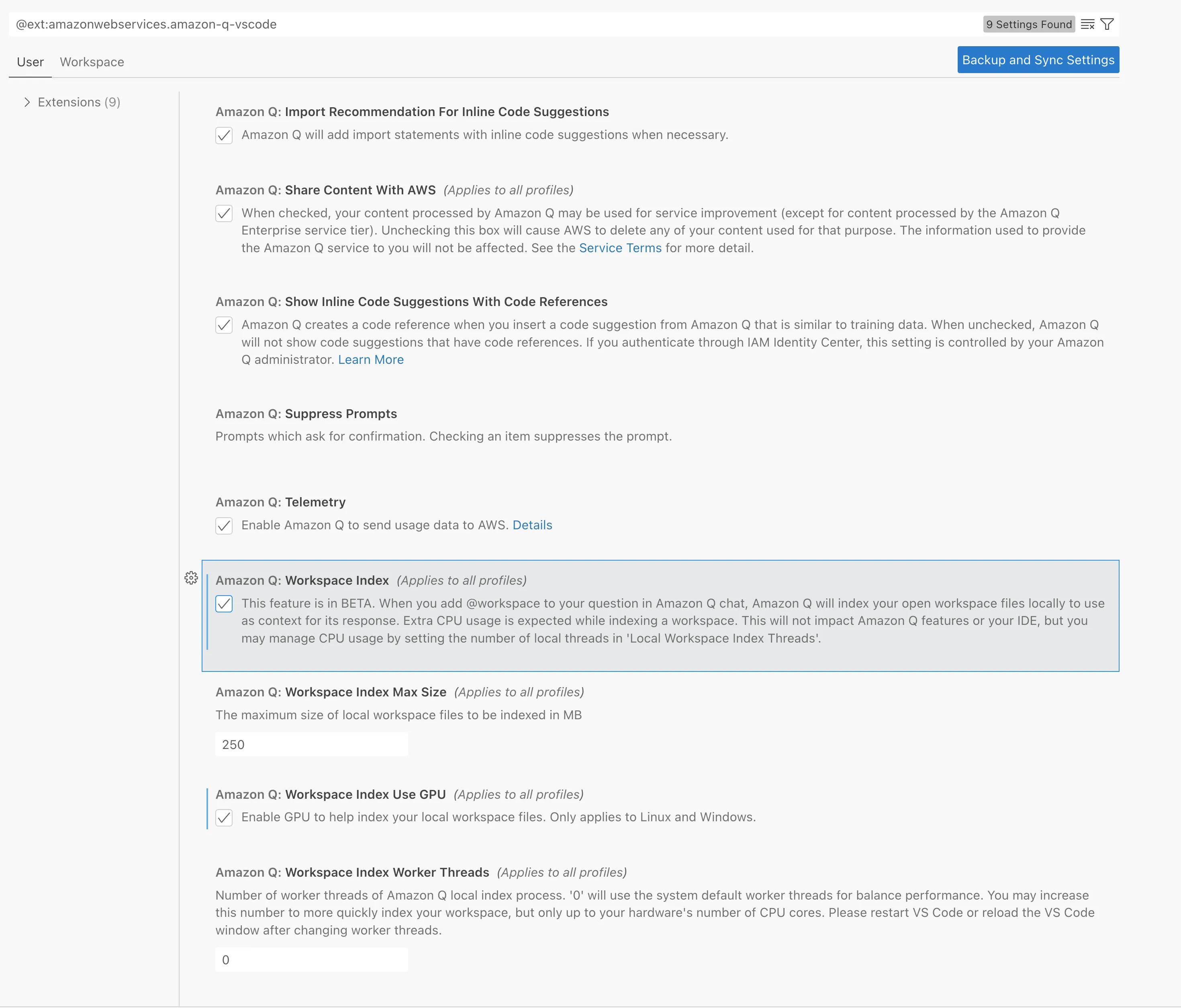 overview of new amazon q developer settings screen