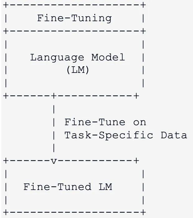 foundation model fine-tuning 