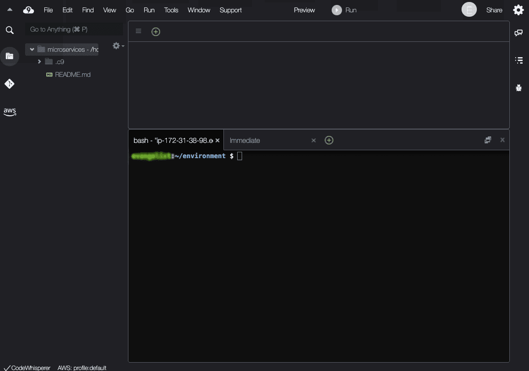The Cloud9 IDE displaying the editor and terminal
