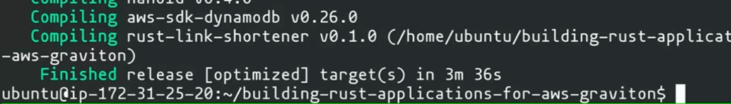 Screenshot of a succesfull compiled Rust application
