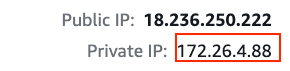 Get the private IP address of the Lightsail instance