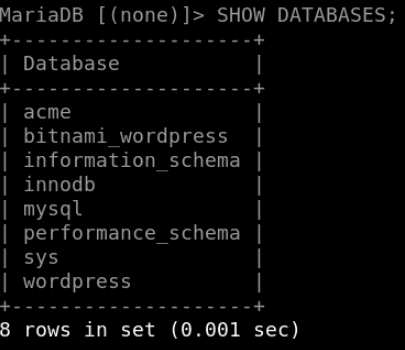 List the databases in the RDS instance