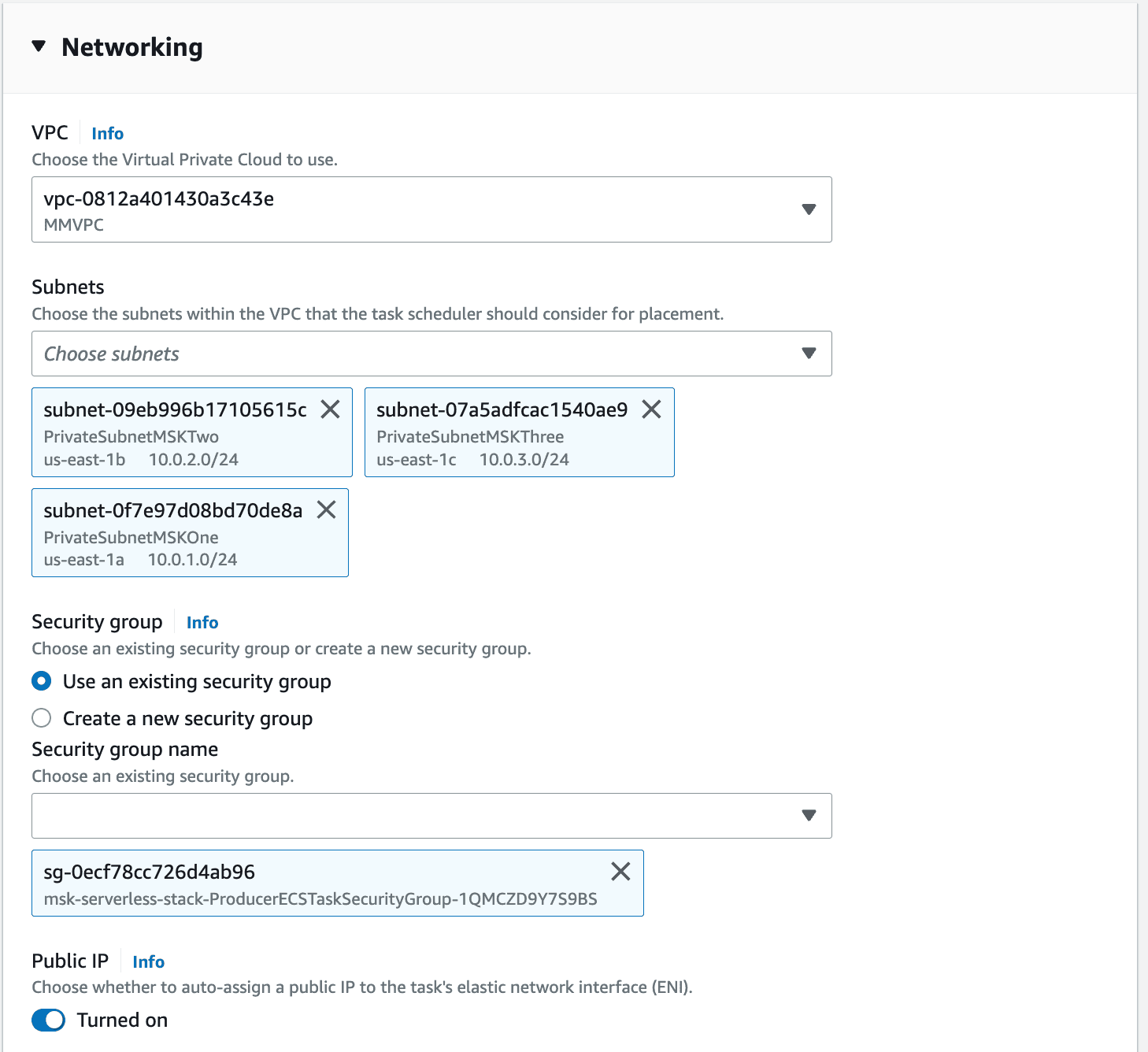 Networking settings within the 'Run Task' view