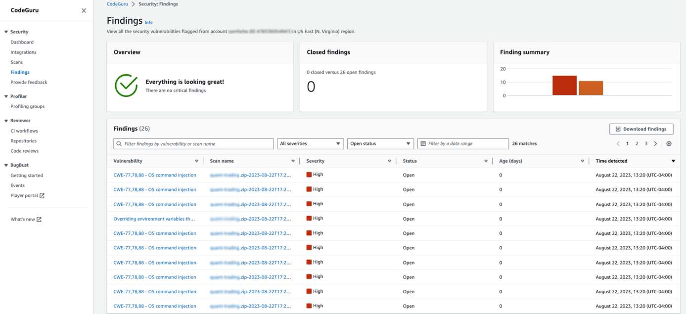 CodeGuru Security Findings