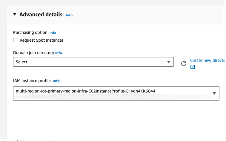 Image showing the EC2 instance advanced settings.
