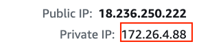 Get the private IP address of the Lightsail instance