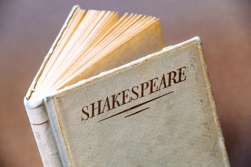 A book with Shakespeare written on the spine.