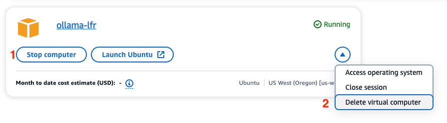 Stop and delete the instance when finished