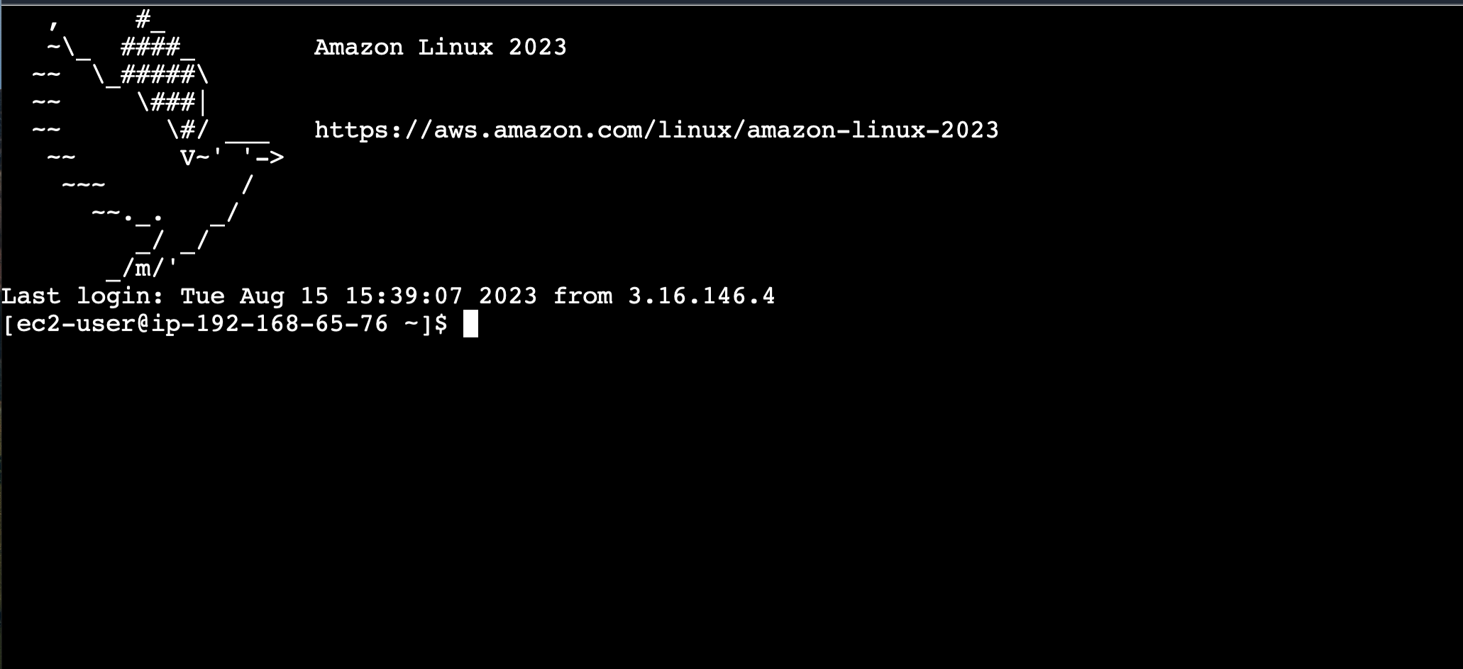 Terminal showing a dove as ascii art and the details of the instance connected to