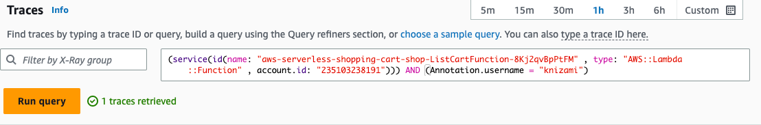 AWS X-Ray Run Query